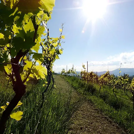 Bed & Breakfast Antico Casal Del Bosco Agriturismo *